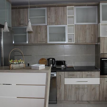 Orchid House Daire Belgrad Dış mekan fotoğraf