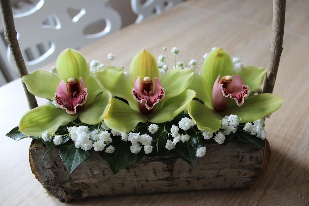 Orchid House Daire Belgrad Dış mekan fotoğraf
