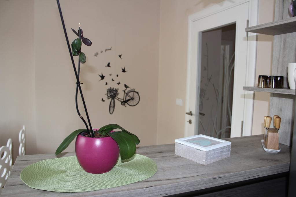 Orchid House Daire Belgrad Dış mekan fotoğraf